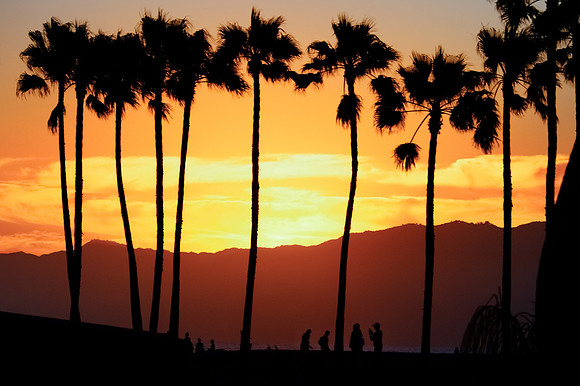 Venice to Malibu