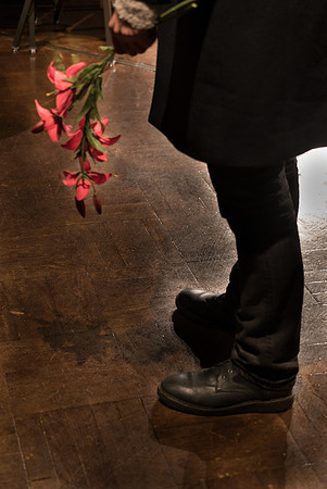 Pedro's Flowers