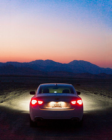 Impala of Death Valley